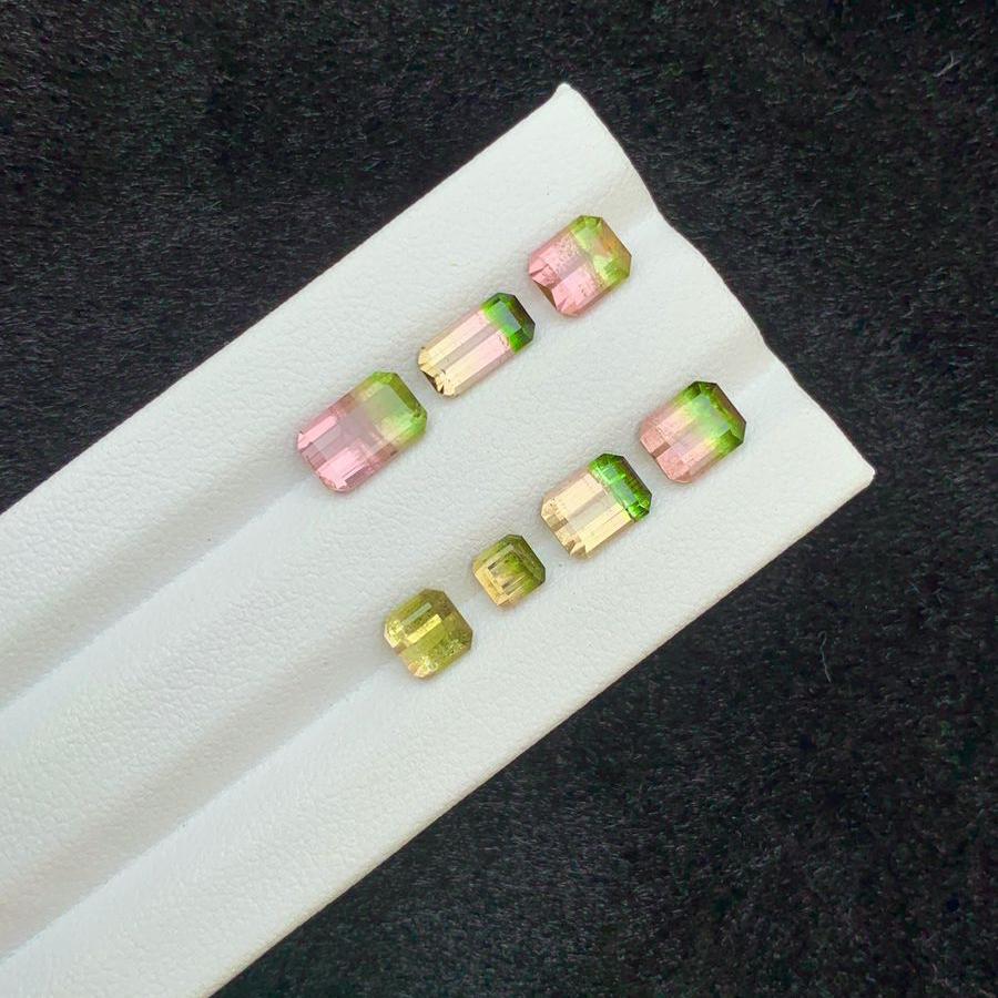 bicolour watermelon tourmaline