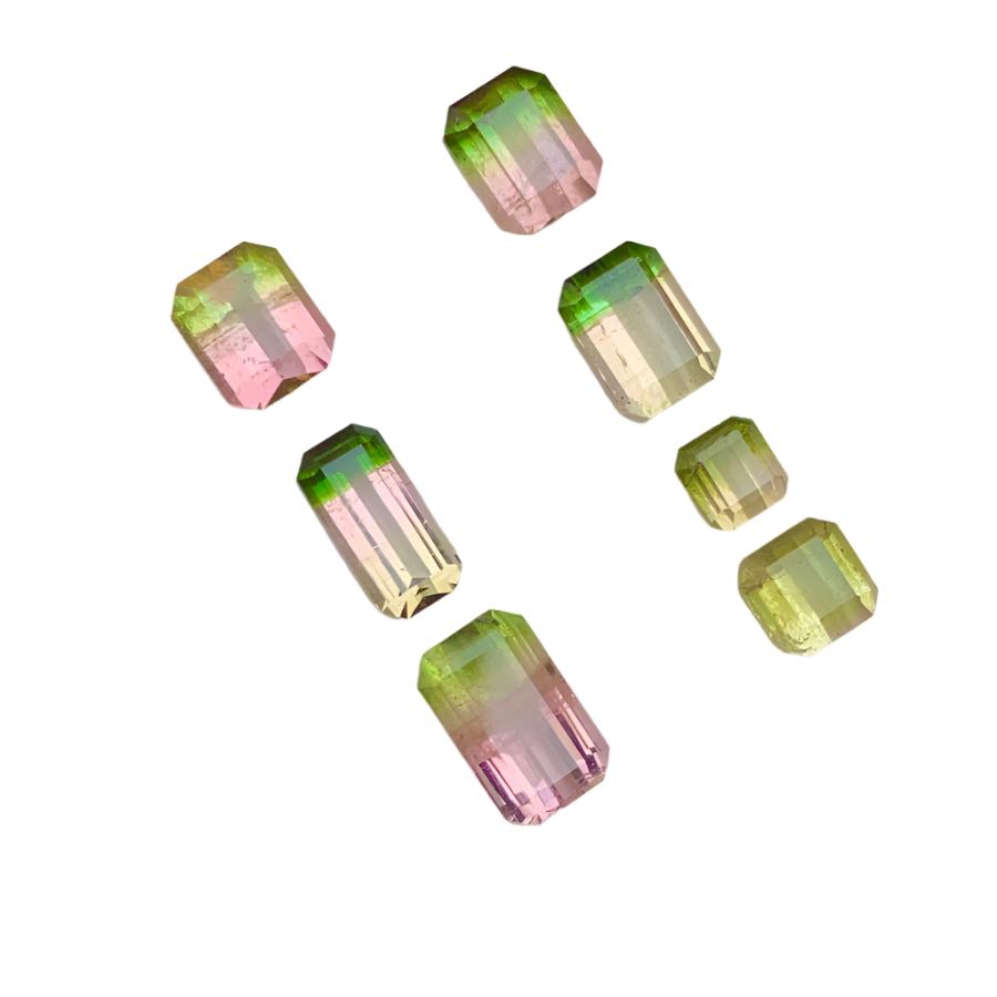bicolour watermelon tourmaline