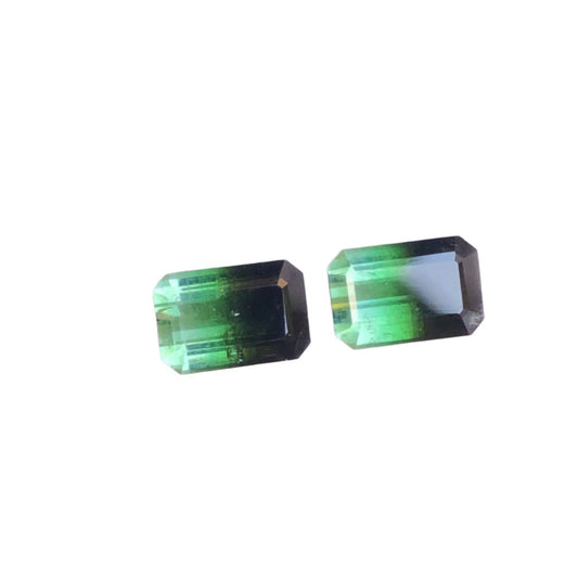  Bicolor tourmaline Pair stone Available 